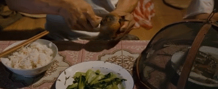 IMG_4120.GIF