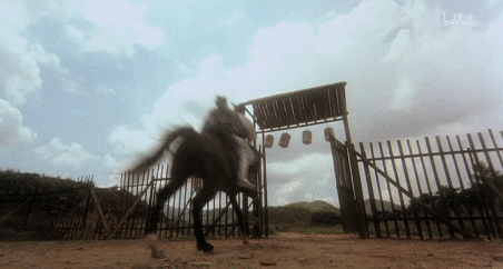 IMG_4155.GIF