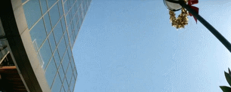 IMG_4162.GIF