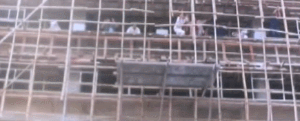 IMG_4164.GIF