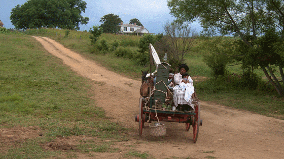 IMG_4679.GIF