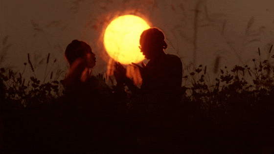 IMG_4701.GIF