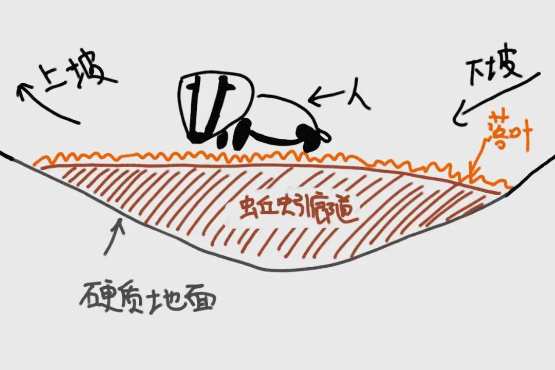 IMG_4957.PNG