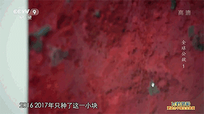 IMG_0955.GIF
