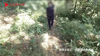 IMG_0986.GIF