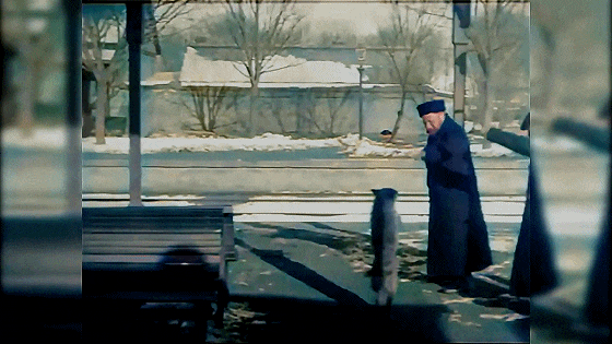 IMG_1007.GIF