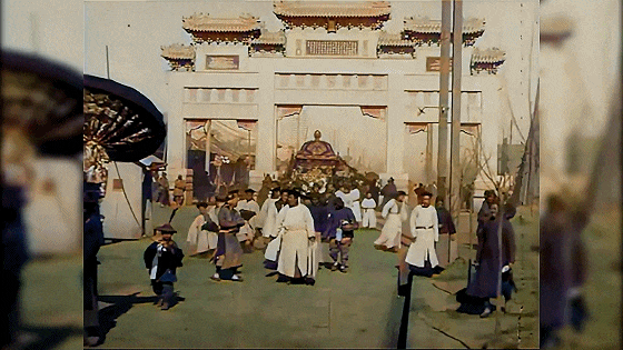 IMG_1008.GIF