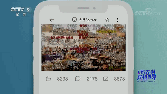 IMG_1013.GIF
