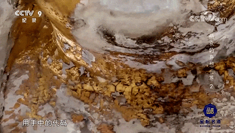 IMG_1050.GIF