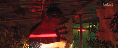 IMG_6099.GIF