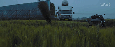IMG_6110.GIF
