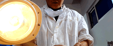 IMG_6143.GIF