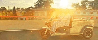 IMG_6151.GIF