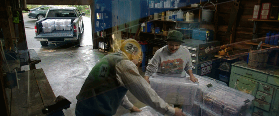 IMG_6212.GIF