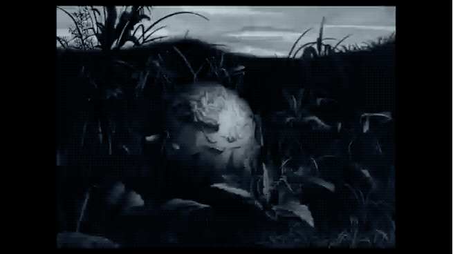 IMG_8185.GIF