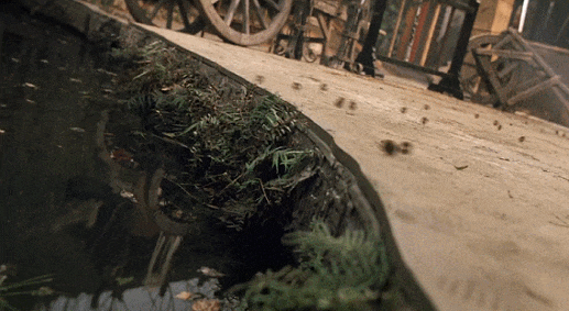 IMG_9217.GIF