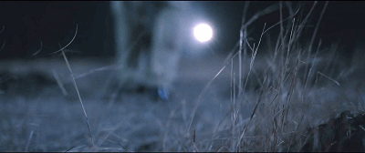 IMG_9248.GIF