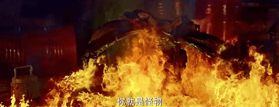 IMG_9781.GIF