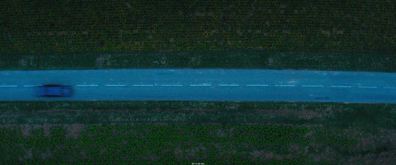 IMG_9799.GIF