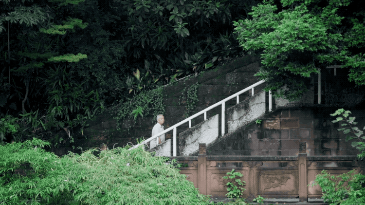 IMG_0070.GIF
