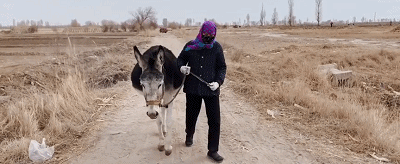 IMG_1125.GIF