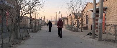 IMG_1127.GIF