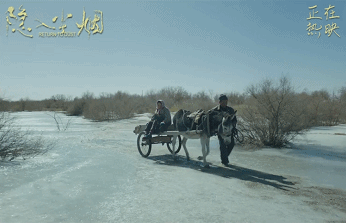 IMG_1131.GIF