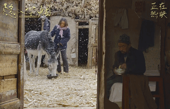 IMG_1139.GIF