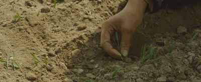 IMG_1160.GIF