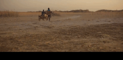 IMG_1161.GIF