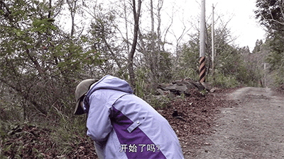 IMG_1482.GIF