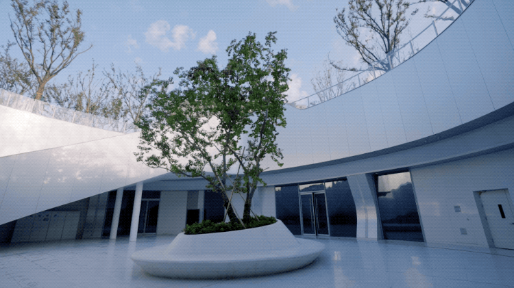 IMG_2708.GIF