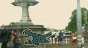 IMG_1713.GIF