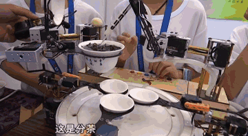 IMG_3187.GIF