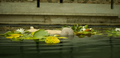 IMG_3536.GIF