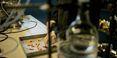 IMG_3555.GIF