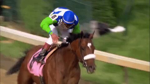 19.jpeg 19.jpeg