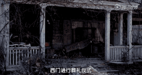 IMG_9613.GIF