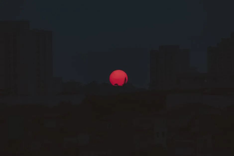 0.jpg
