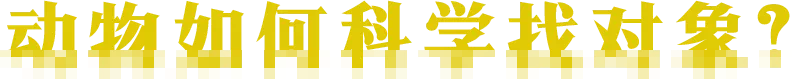 IMG_0730.PNG