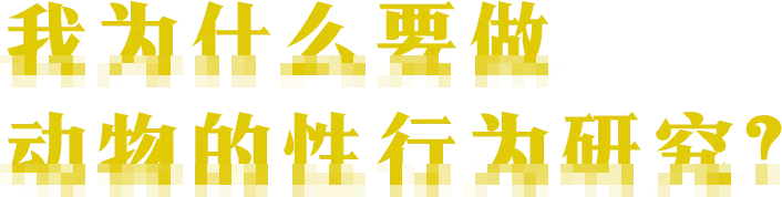 IMG_0729.PNG