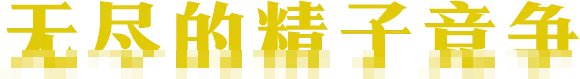 IMG_0737.PNG