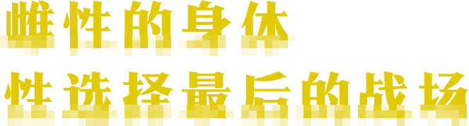 IMG_0752.PNG