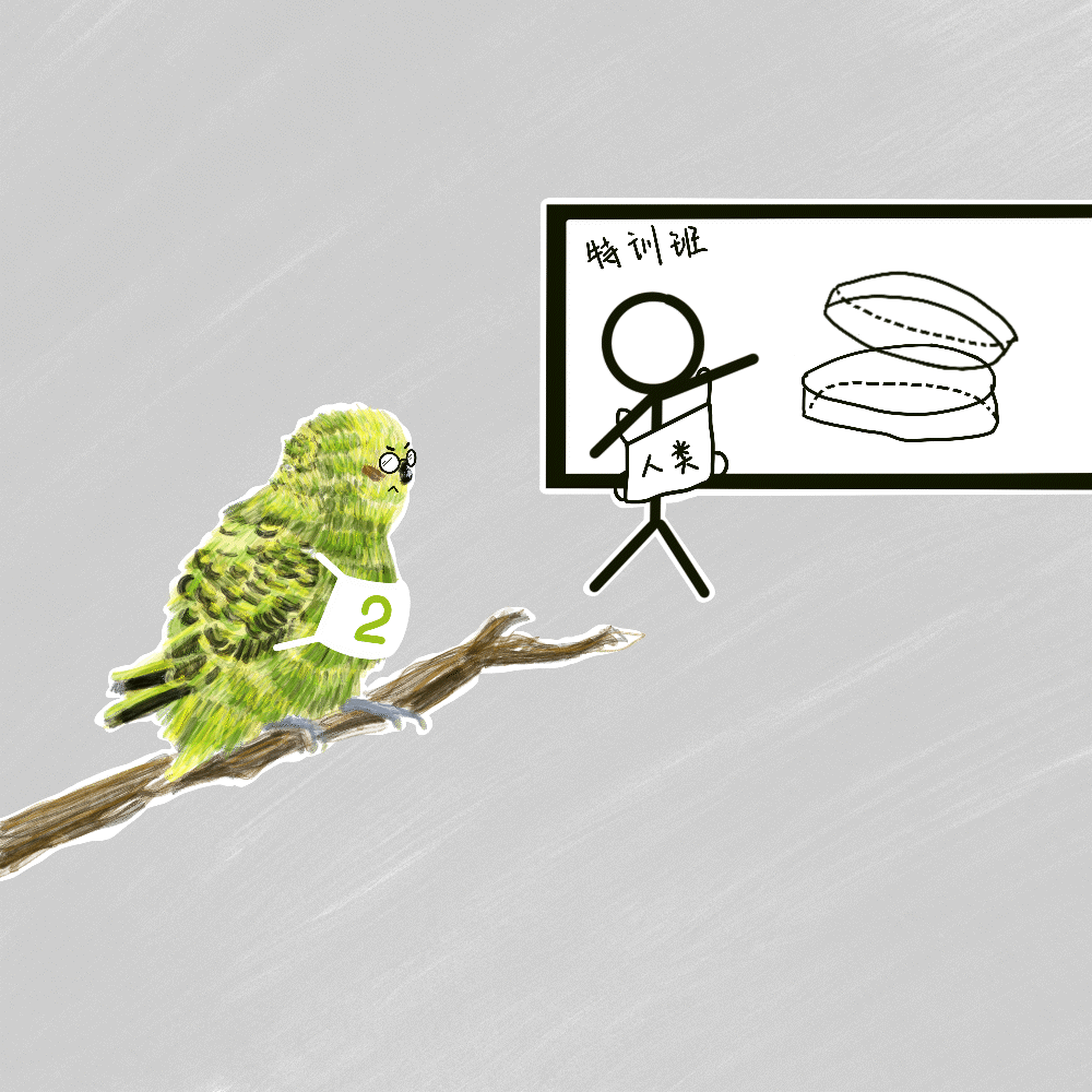 IMG_0759.GIF