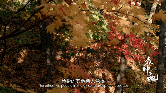 IMG_7403.GIF