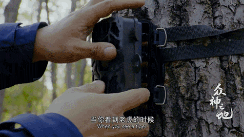 IMG_7406.GIF