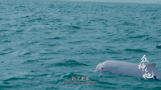IMG_7416.GIF