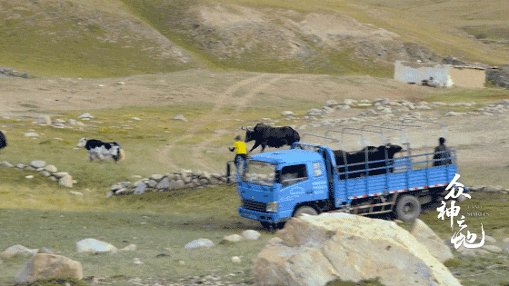 IMG_7417.GIF
