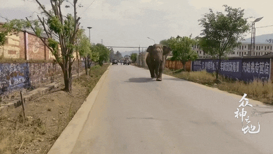 IMG_7418.GIF