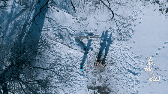 IMG_7438.GIF